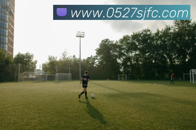 多媒体互动体验